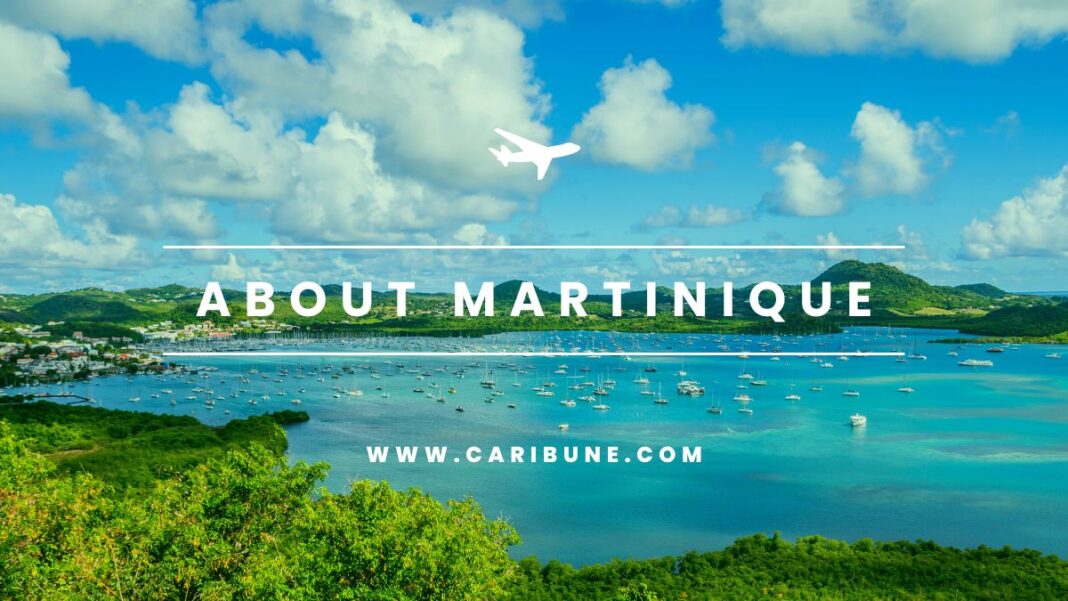 about-martinique