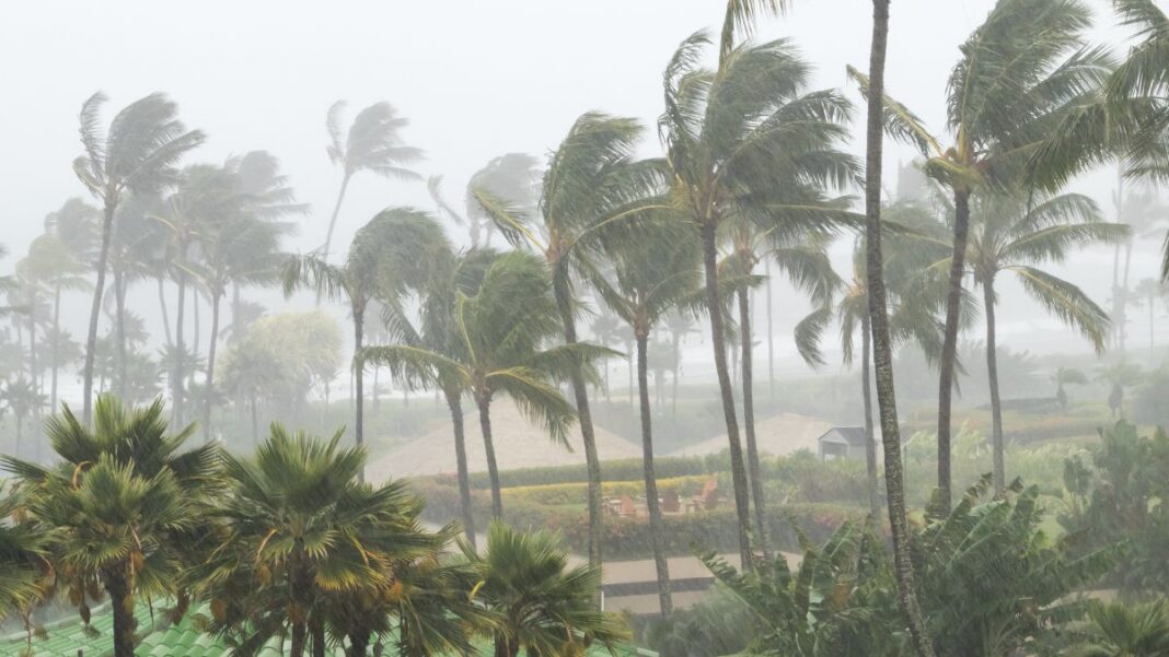 Hurricane Season in the Caribbean