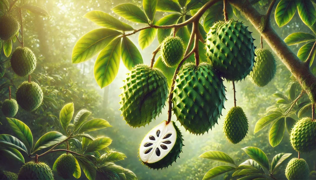 soursop-fruit